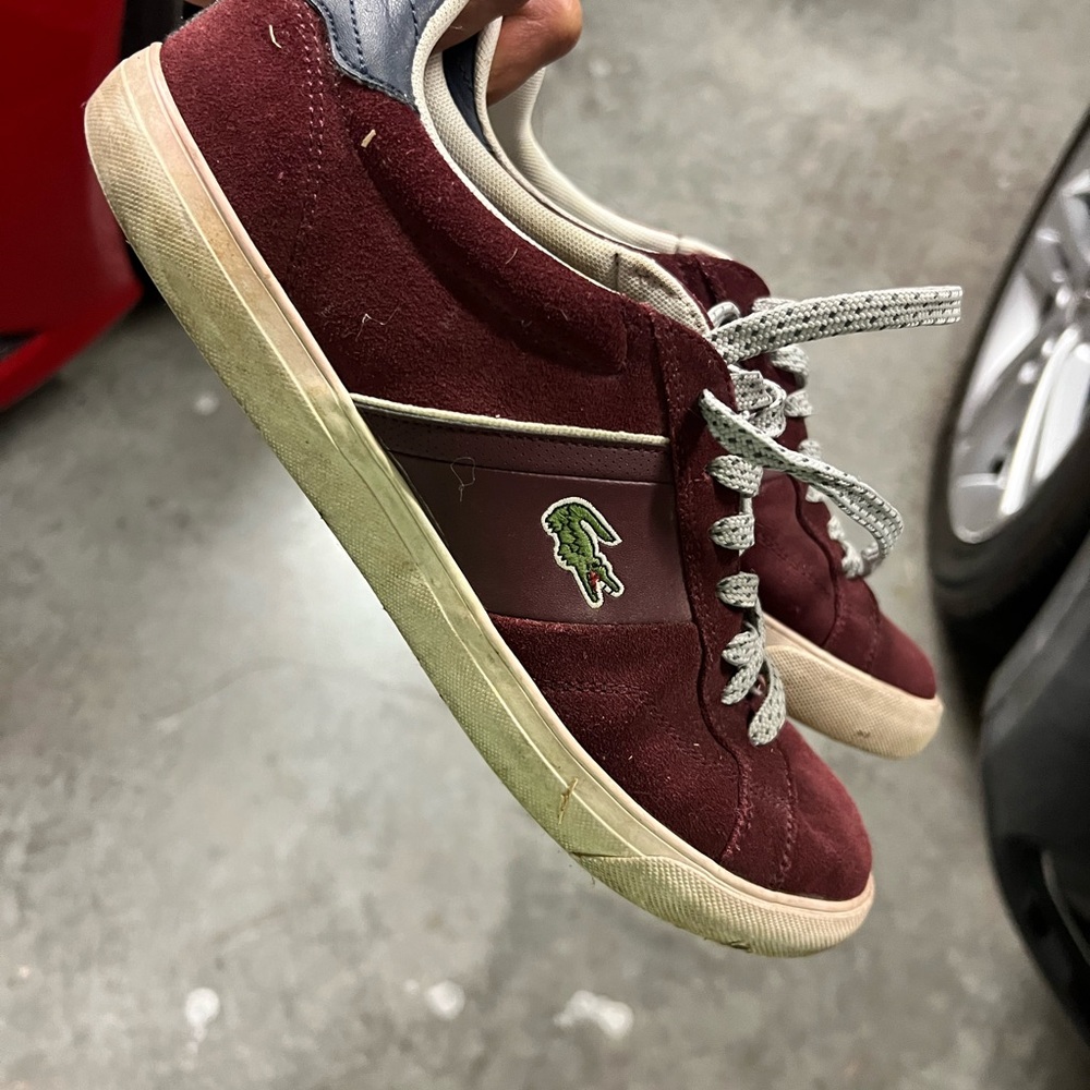 Lacoste Men's Maroon and Gray Sneakers